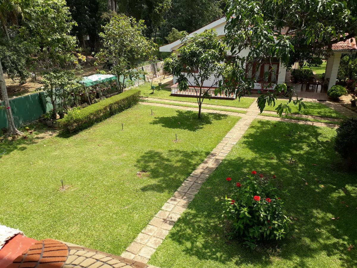 Gudsmith Home Negombo Exteriör bild